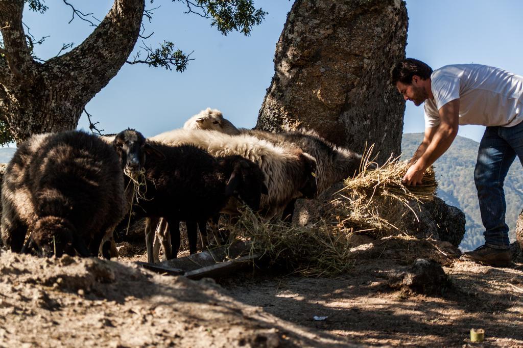 La Taverna Dei Briganti Otel Cotronei Dış mekan fotoğraf