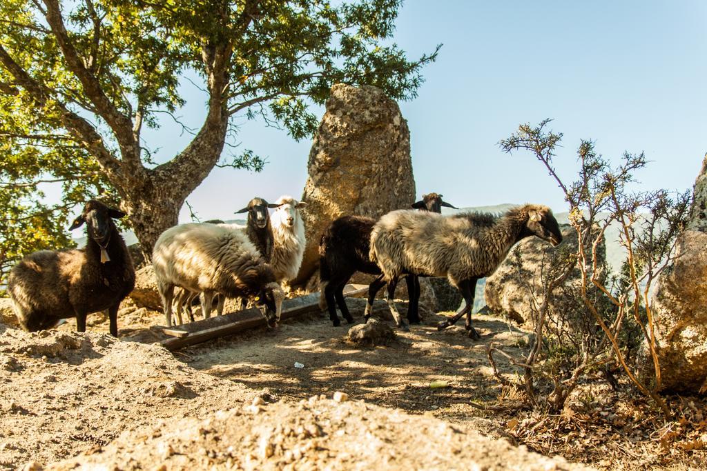 La Taverna Dei Briganti Otel Cotronei Dış mekan fotoğraf